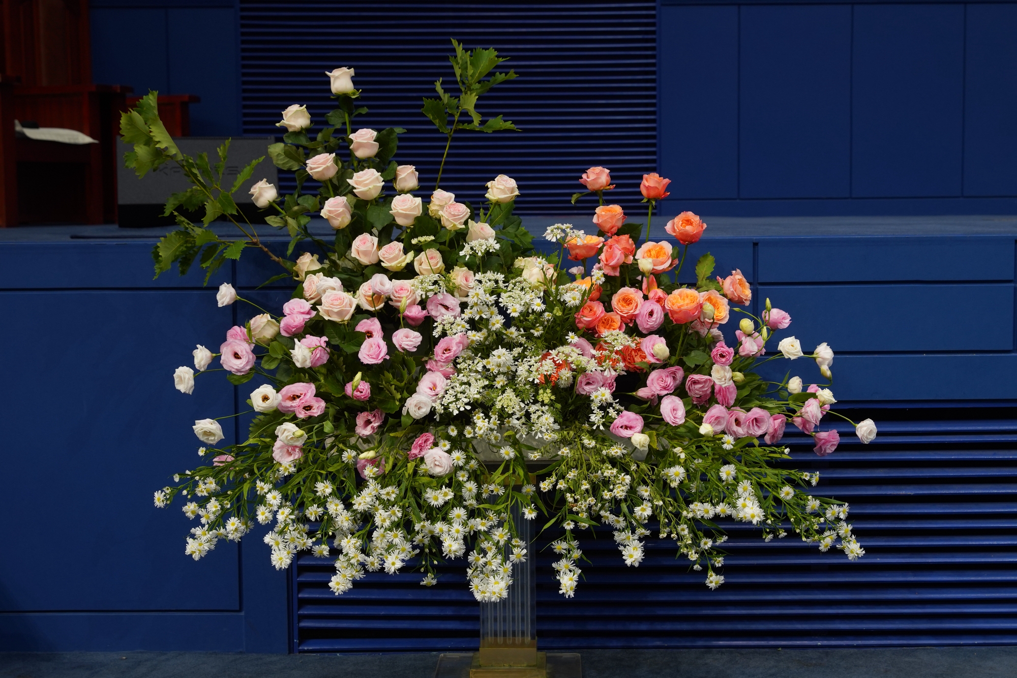 resize_DSC02368.JPG