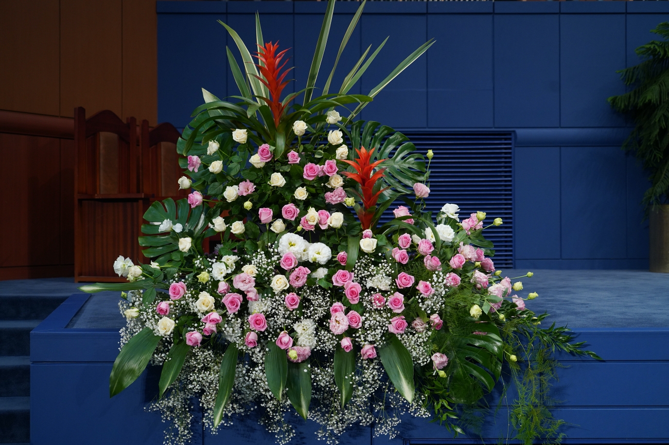 DSC09386_1.JPG
