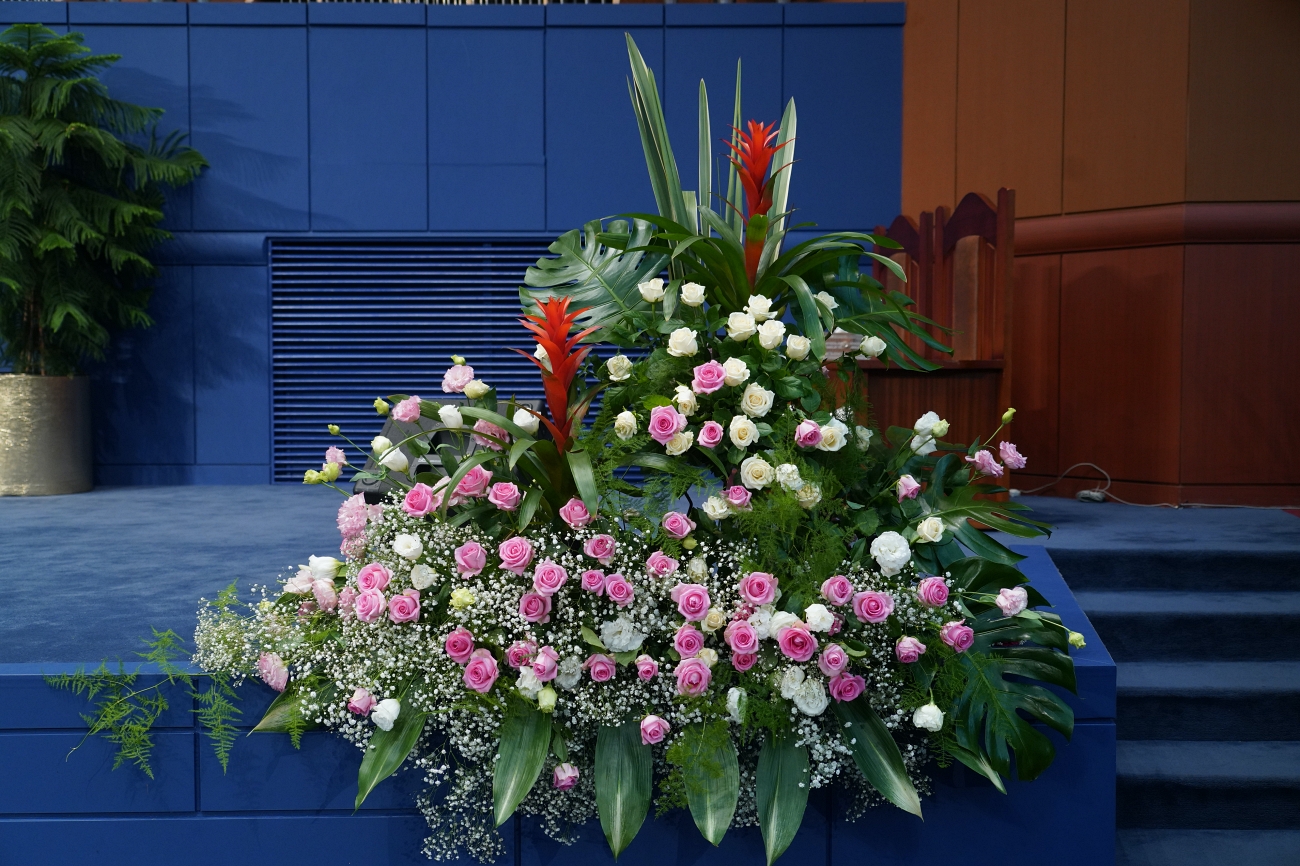 DSC09384_1.JPG