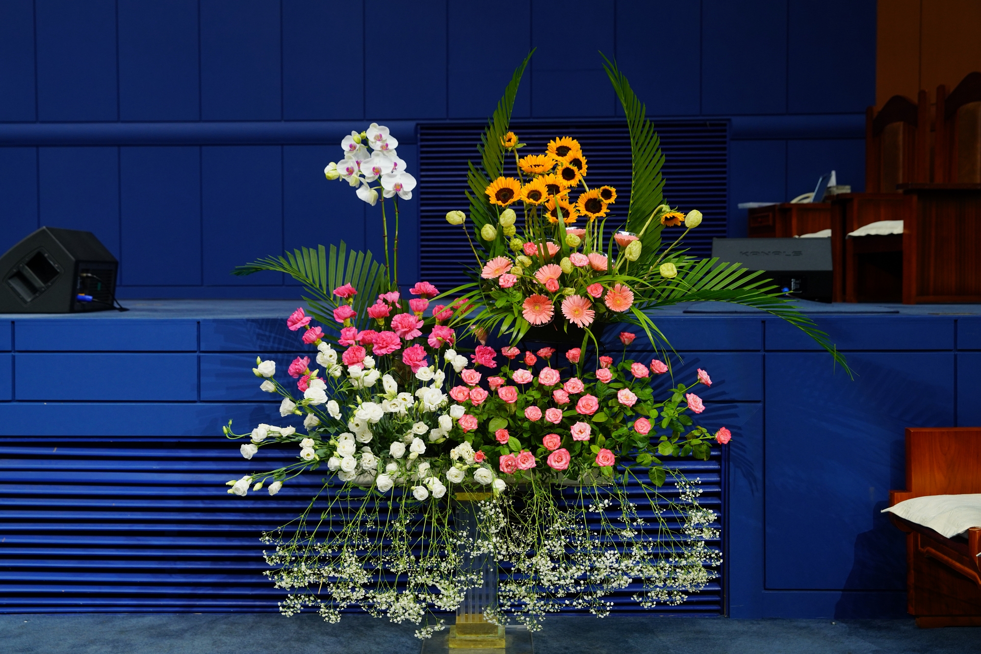resize_DSC05917.JPG